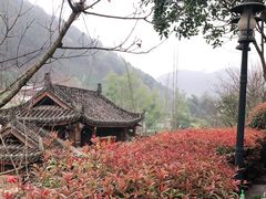 -楠柏弯休闲山庄(梨花溪店)