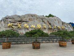 -北京西山国家森林公园