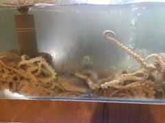 -青瓦餐厅·生鱼片·韩园烤肉(西塔店)