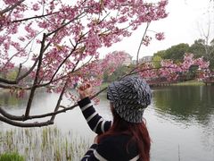 -新江湾城公园
