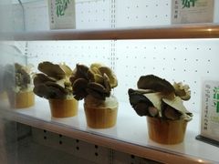 -大匠工房古船木艺术餐厅·猪肚鸡专门店(长白仙岛店)