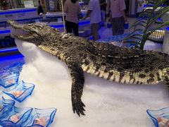 -澜悦港海鲜体验主题餐厅