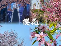 -金鸡湖景区