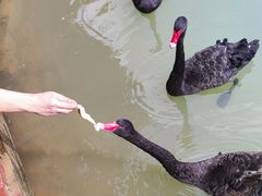 -广州白江湖森林公园