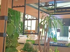 大堂-大头椰·椰子鸡火锅(南宁万象城店)