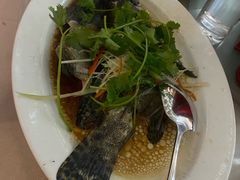 清蒸斑鱼-汕头君华海逸酒店·鸿桃轩中餐厅