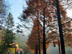 -洛阳白云山景区