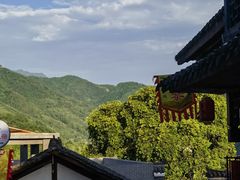 -后柳水乡