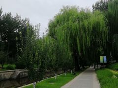 -元大都城垣遗址公园