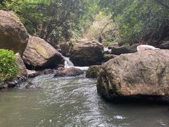 -红山村