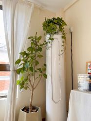 -美龄范科技肌肤管理中心