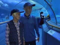 -厦门海底世界