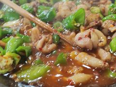 -张氏父子常德肠子馆(红星总店)