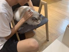 -Pets First伊珊娜洗护·精致美容·家庭式寄养(新会路店)