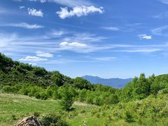 -白草畔自然风景区