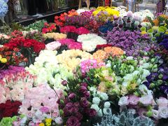 -双季花艺园艺市场(浦东店)
