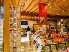 -猫的天空之城概念书店(丽江古城饮玉巷店)