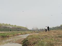 -洨河生态公园