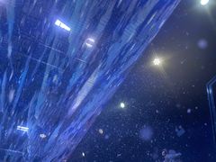 -M-MIX电音烤吧