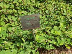 -广州神农草堂中医药博物馆