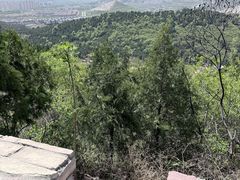 -府君山公园