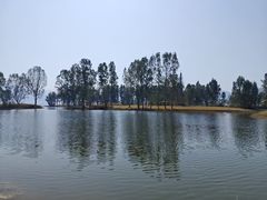 -西昌邛海湿地
