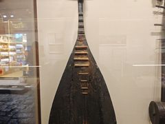 -宣科纳西古乐·非遗音乐(大水车店)