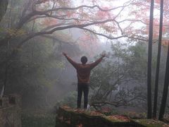 -莫干山风景区