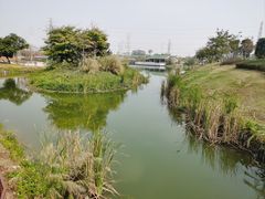 -王借岗森林公园