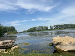 -滕州微山湖红荷湿地景区