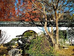 -上海醉白池公园