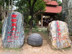 -云南勐巴娜西珍奇园