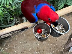 -南宫五洲植物乐园