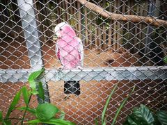 -清迈夜间动物园