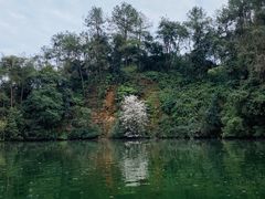 -保利石象湖景区