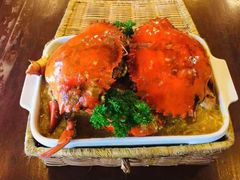 -茉莉.Red Crab