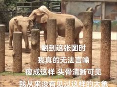 -昆明动物园