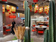 -朱光玉火锅馆(正弘城店)