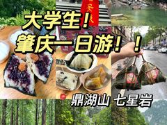 -鼎香皇高佬苏裹蒸粽