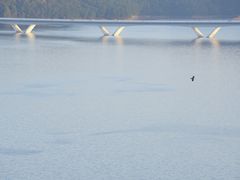 -浔味·山屿湖·正宗淳牌全鱼宴老字号