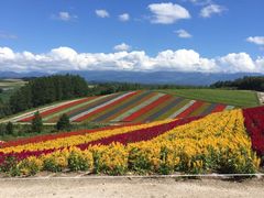 -富田农场