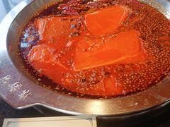 -马帮寨院坝火锅(龙港公园店)