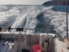 -小猫钓鱼海钓俱乐部(椰梦长廊店)