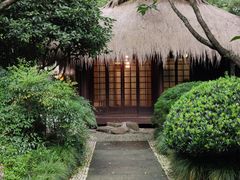 -中国茶叶博物馆(双峰馆区)