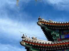 -颐和园