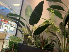 -必胜客(百联又一城店)