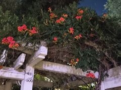 -泉城广场