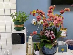 -柏萃动物医院·骨科·牙科