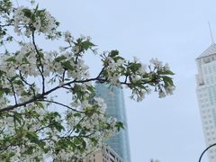 -西北湖绿化广场