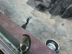 -鄂尔多斯野生动物园